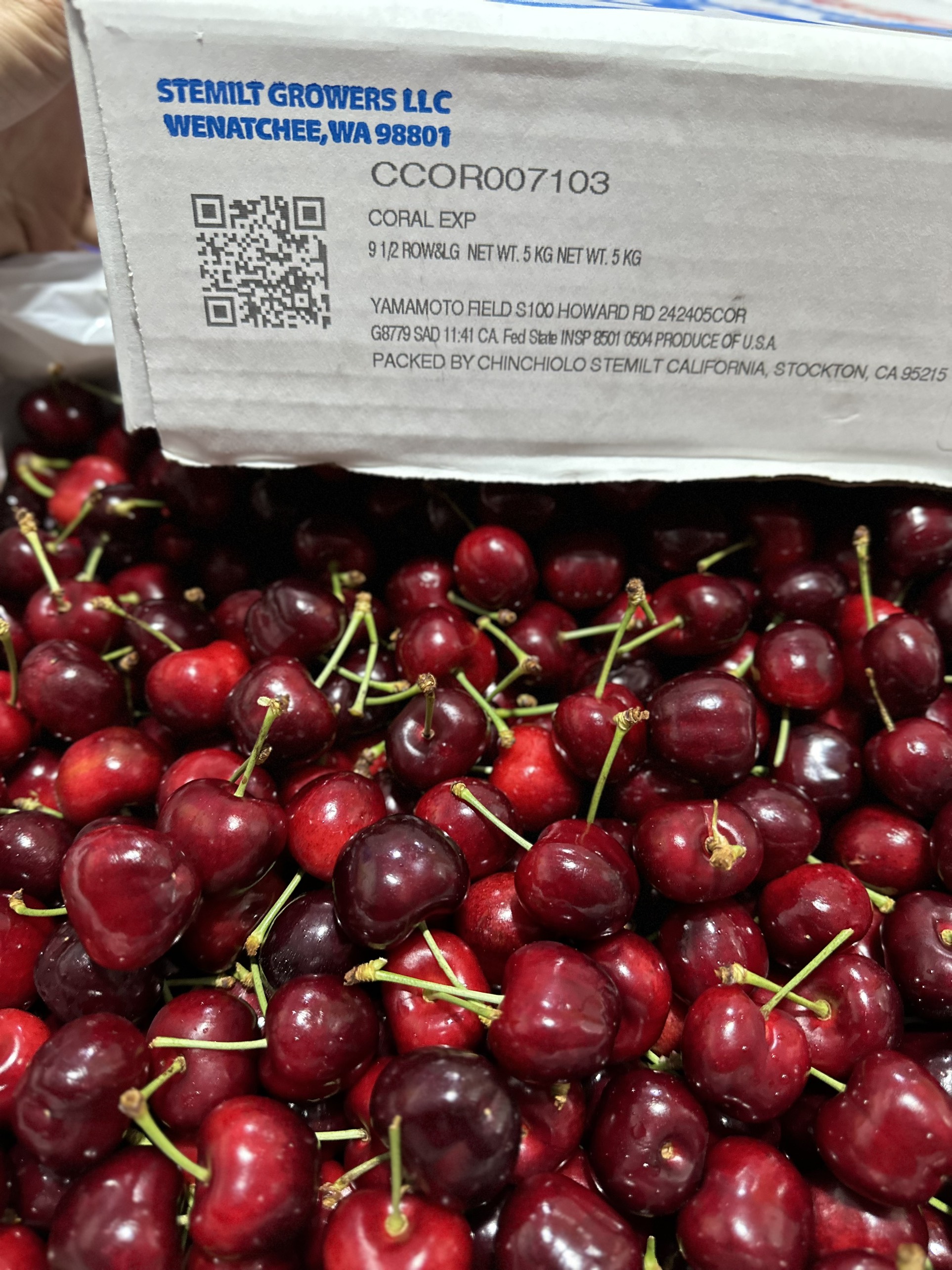 Cherry Mỹ Stemilt 9.5