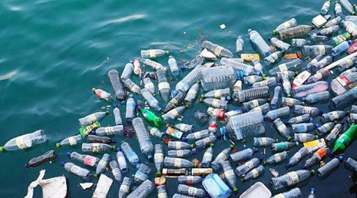 Tác hại của rác thải nhựa