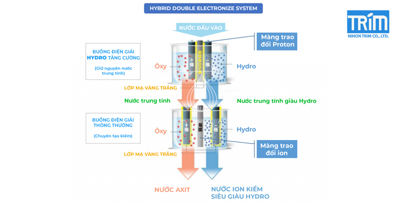 Công nghệ điện giải kép tạo nước siêu giàu Hydro