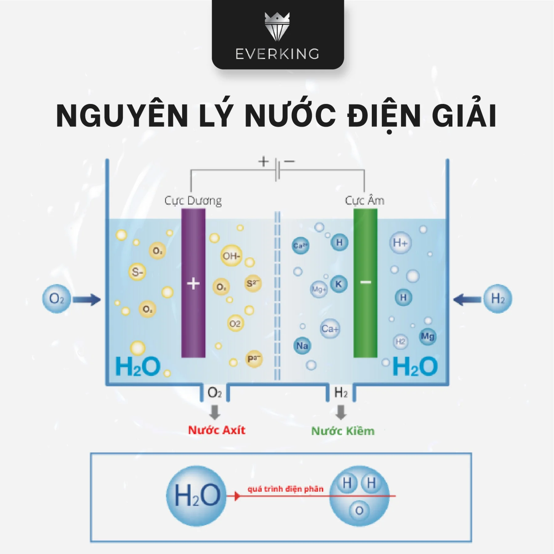Nguyên lý tạo nước điện giải trên EK-99