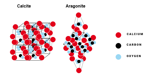 So sánh cấu trúc aragonite và calcite của canxi