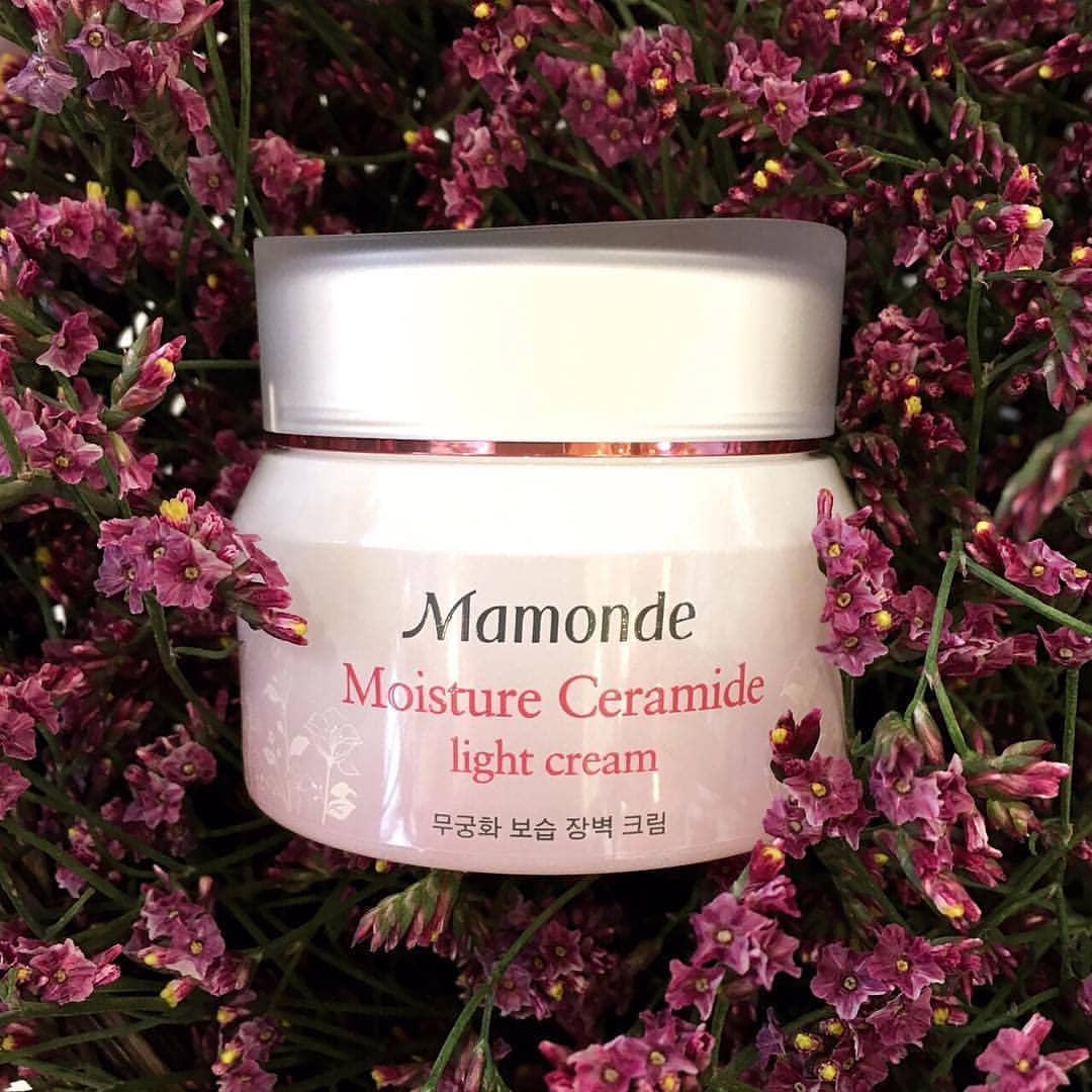 Kem dưỡng ẩm dịu nhẹ Mamonde moisture ceramide light cream