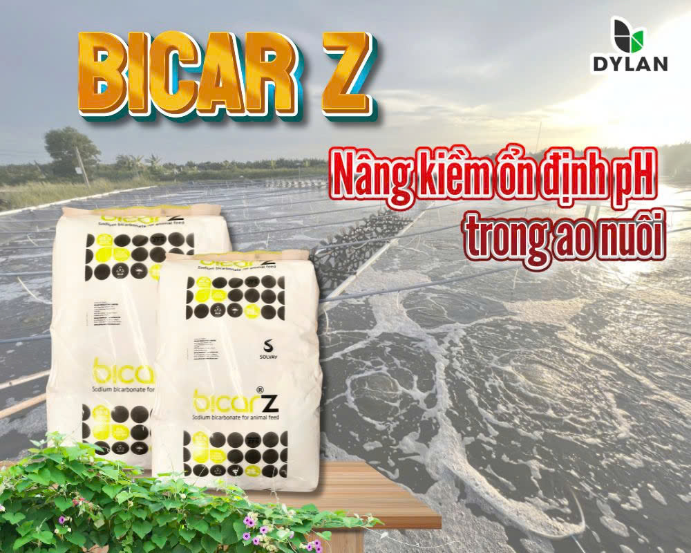 Độ kiềm trong nuôi trồng thủy sản ? Cách nâng kiềm hiệu quả trong thủy sản