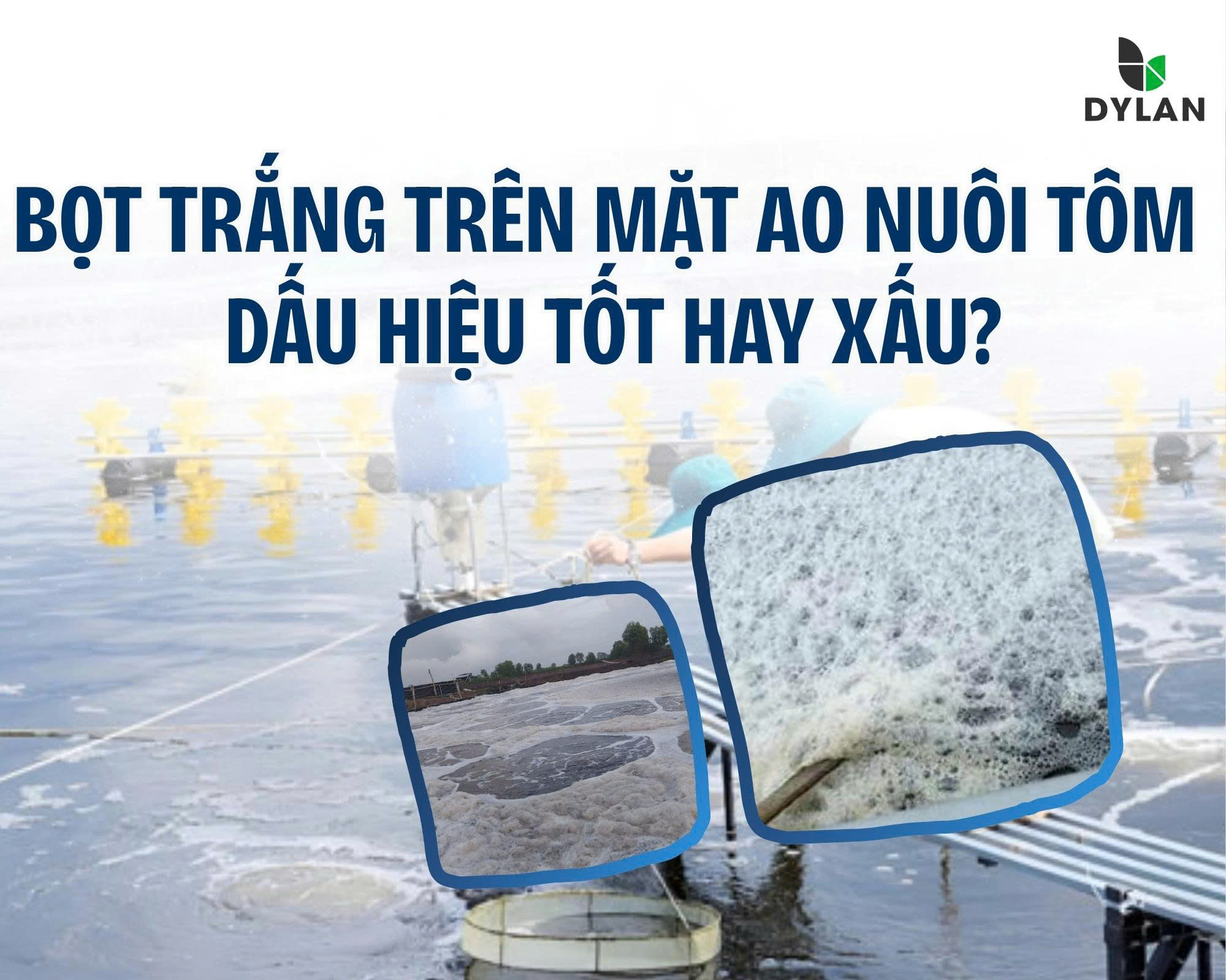 Bọt trắng trên mặt ao nuôi tôm – Dấu hiệu tốt hay xấu ?