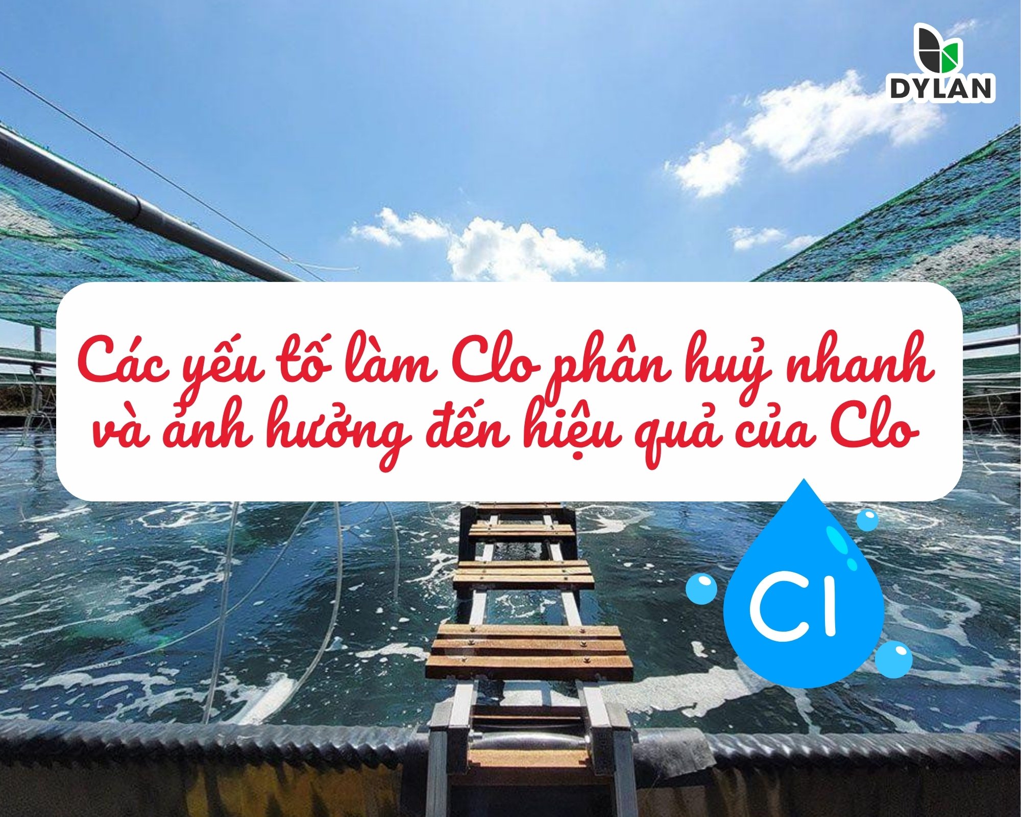 Các Yếu Tố Làm Clo Phân Hủy Nhanh Và Ảnh Hưởng Đến Hiệu Qủa Của Clo