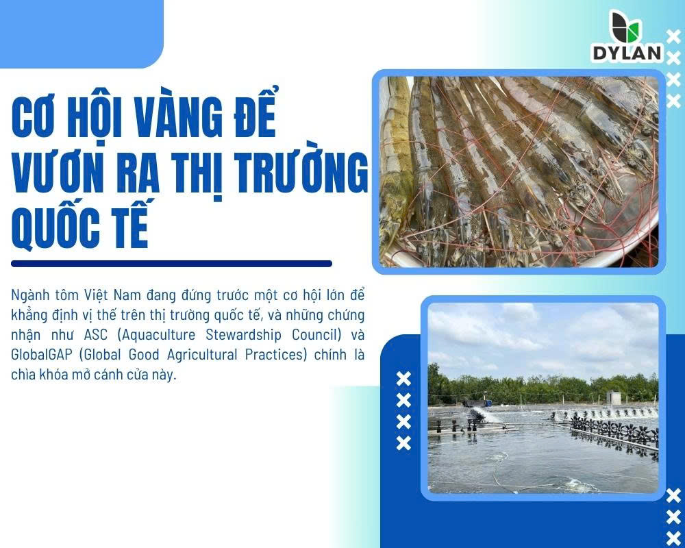 CƠ HỘI VÀNG ĐỂ VƯƠN RA THỊ TRƯỜNG QUỐC TẾ
