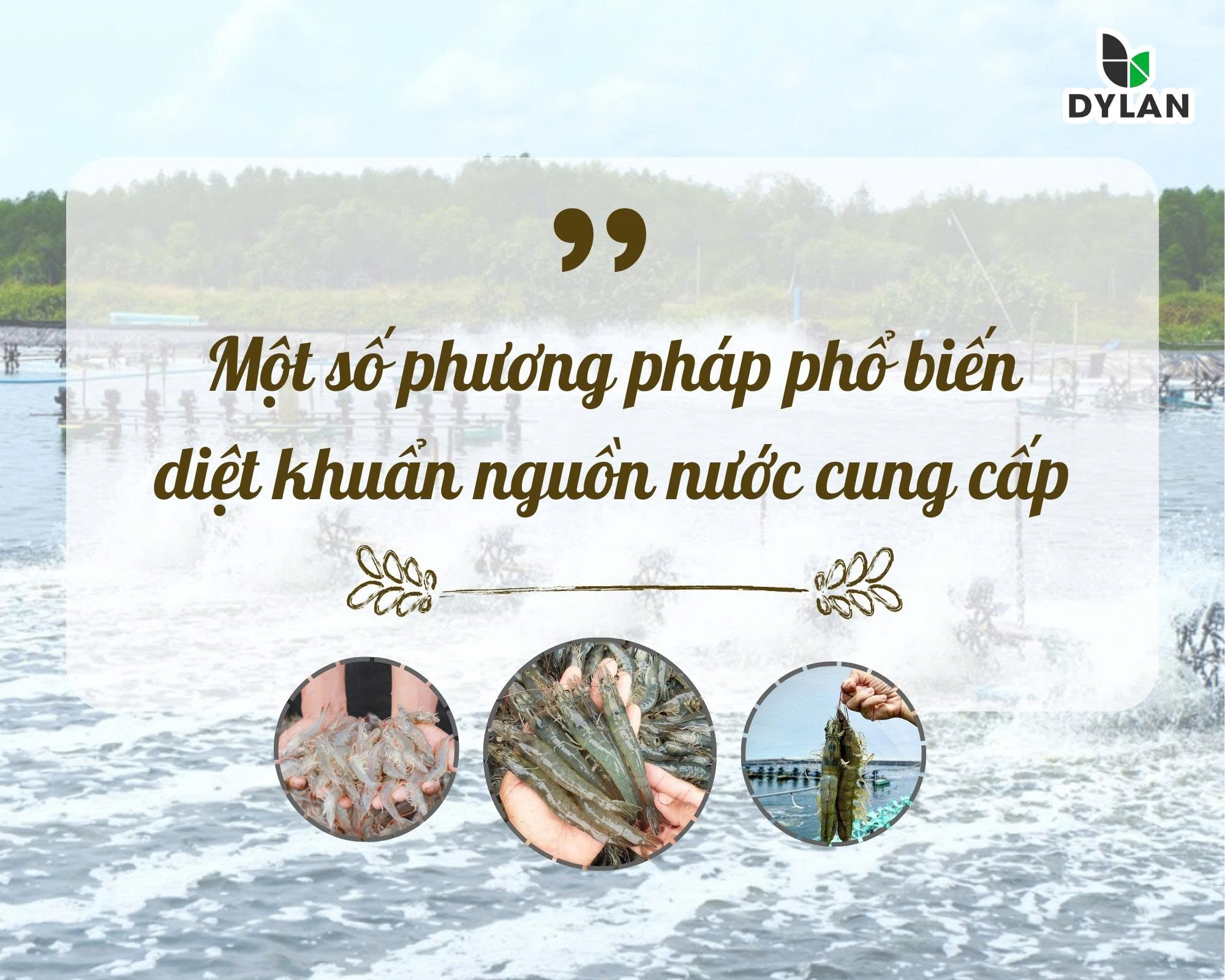 Một Số Phương Pháp Phổ Biến Diệt Khuẩn Nguồn Nước Cung Cấp