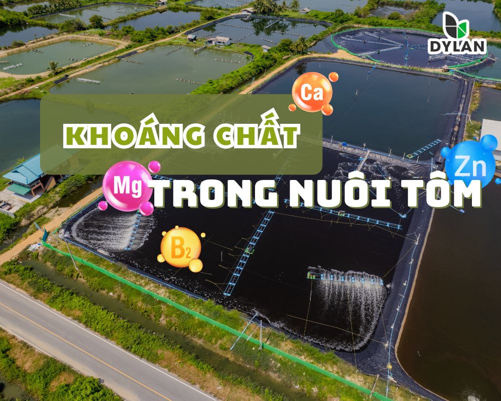 Khoáng trong nuôi trồng thủy sản