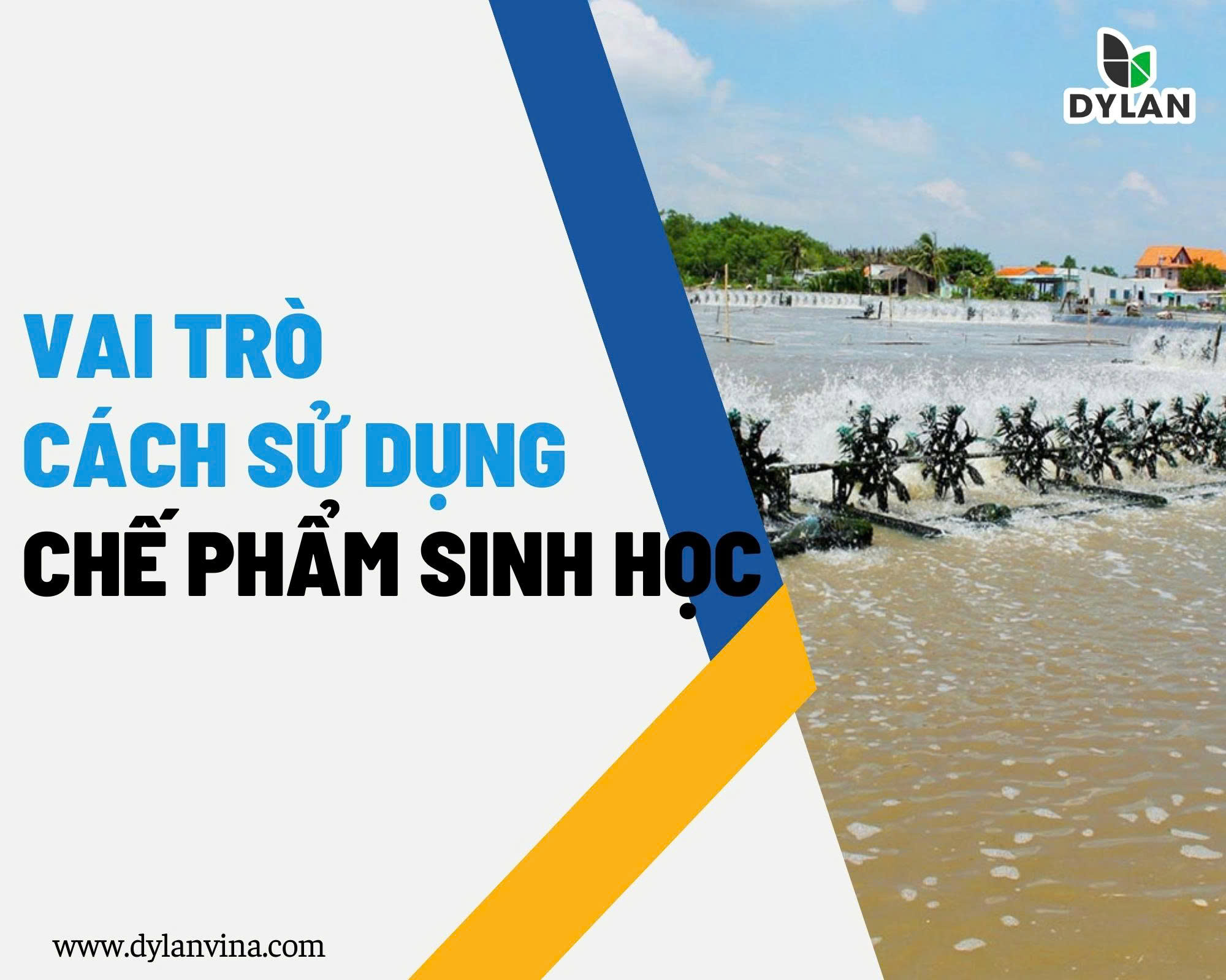 Vai trò và cách sử dụng chế phẩm sinh học trong xử lý chất thải ao nuôi thủy sản