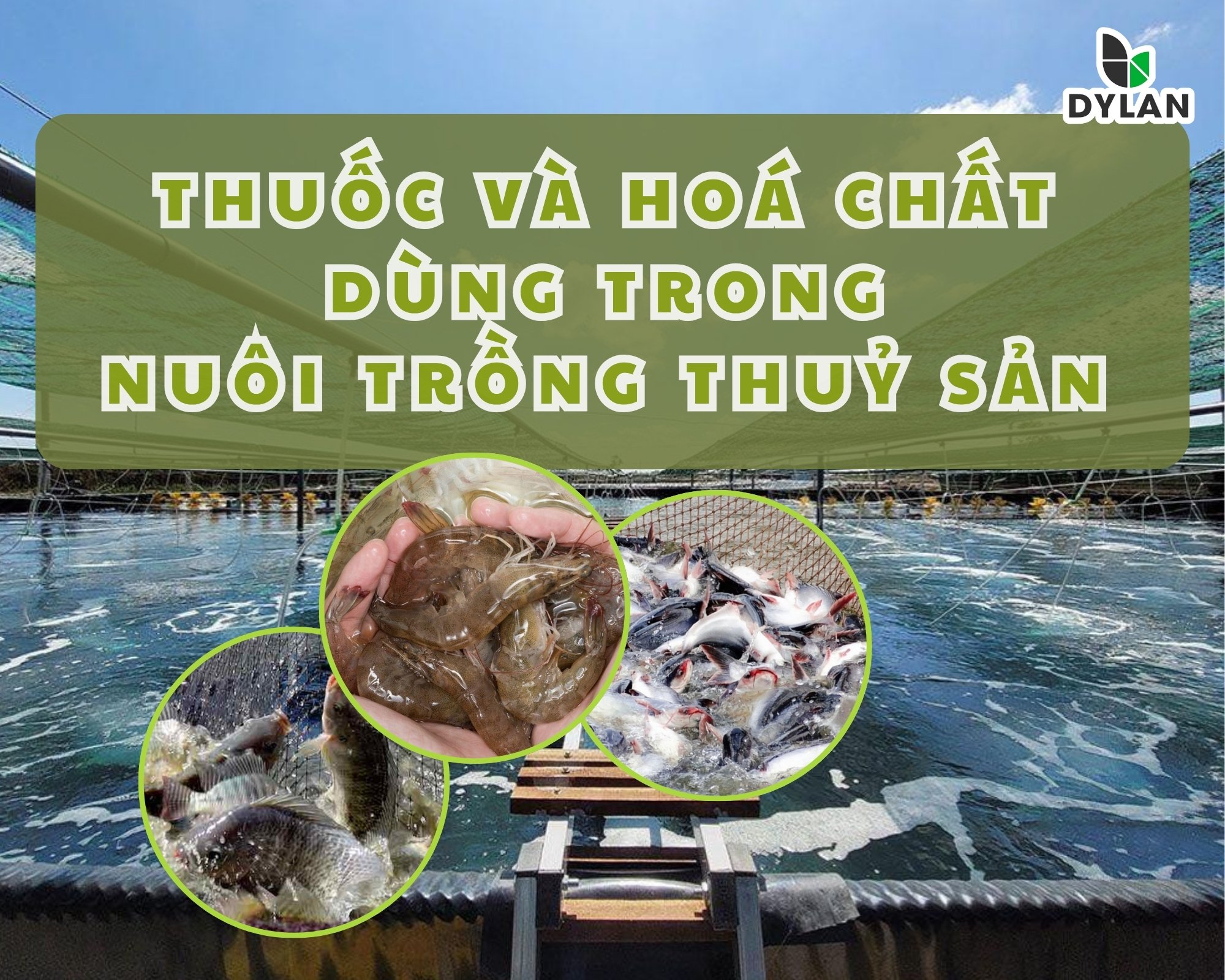 Thuốc và Hóa Chất Dùng Trong Nuôi Trồng Thủy Sản