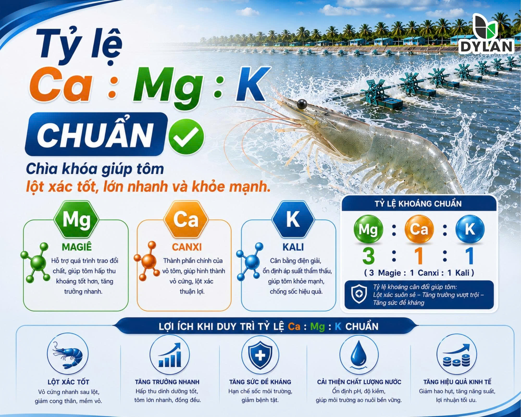 Tỷ lệ Ca : Mg : K chuẩn – Chìa khóa giúp tôm lột xác tốt, lớn nhanh và khỏe mạnh