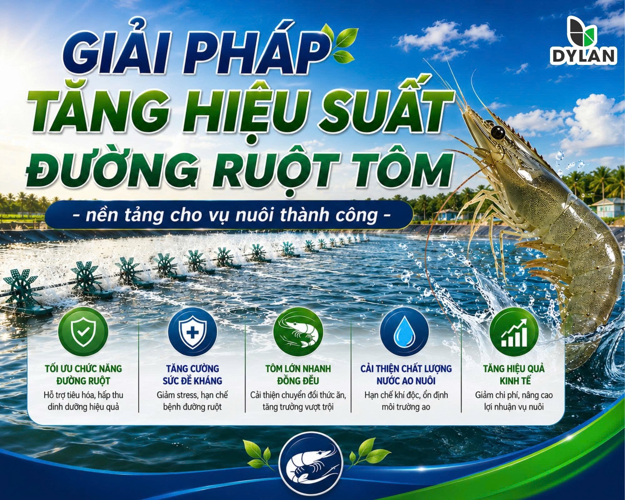 Giải Pháp Tăng Hiệu Suất Đường Ruột Tôm – Nền Tảng Cho Vụ Nuôi Thành Công