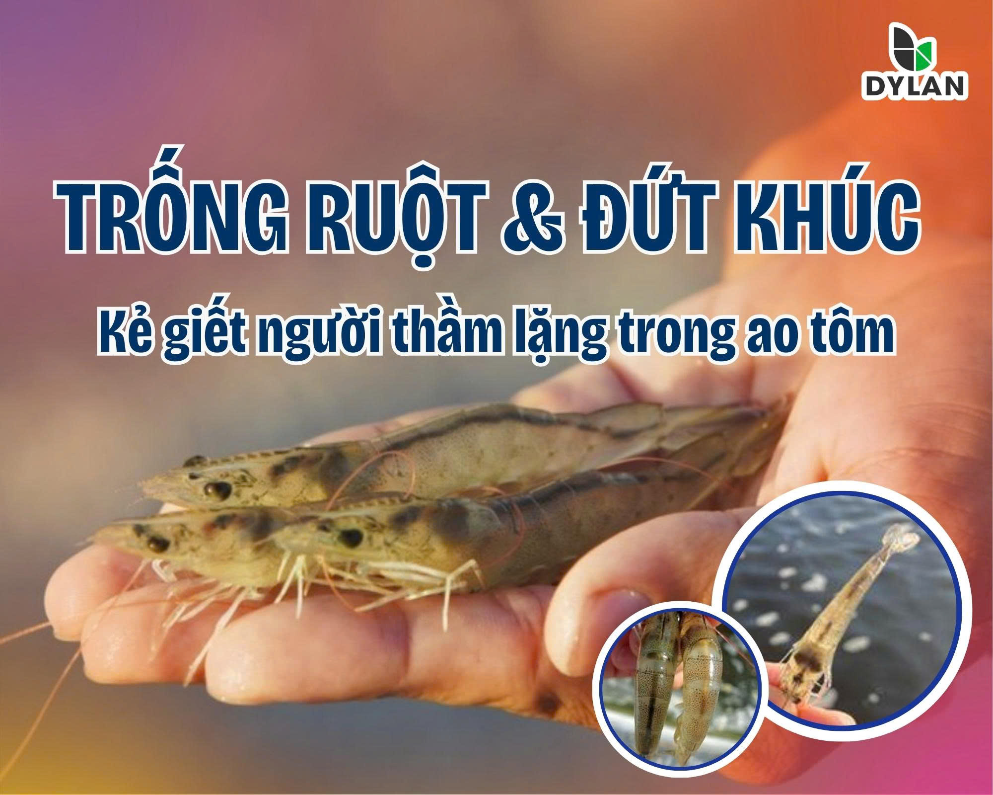 TRỐNG RUỘT & ĐỨT KHÚC – KẺ GIẾT NGƯỜI THẦM LẶNG TRONG AO TÔM