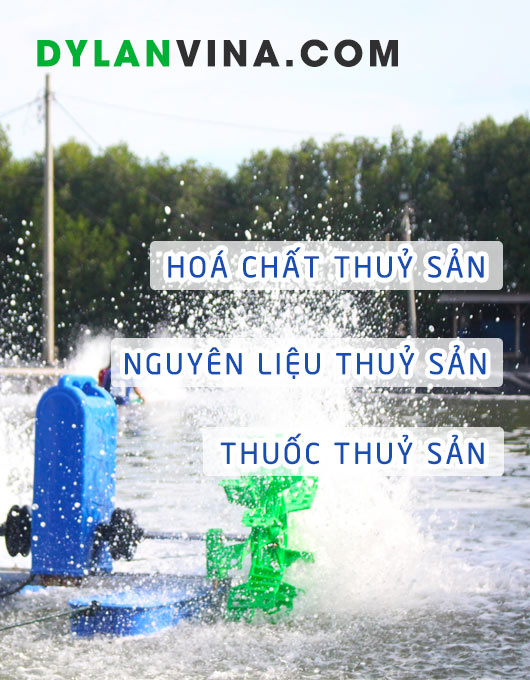 Công ty TNHH TM & DV chuyên cung cấp các loại hoá chất chăn nuôi thuỷ hải sản, nguyên liệu hoá chất và thuốc điều trị thuỷ hải sản