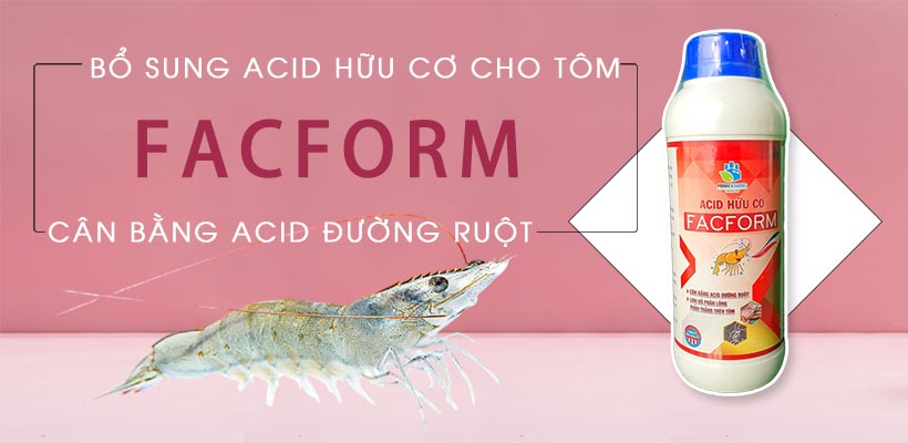Facform bổ sung acid hữu cơ cho tôm, cân bằng các loại acid đường ruột