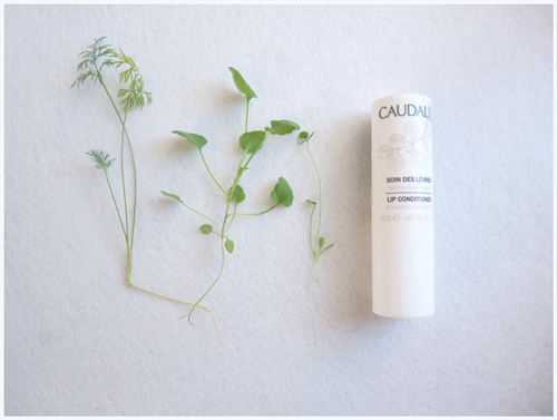 Review | Son dưỡng môi Caudalie Lip Conditioner