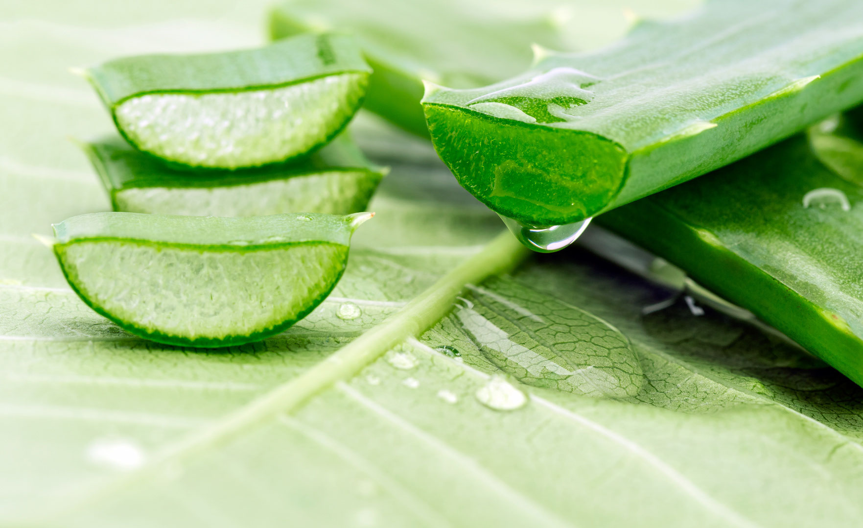 5 loại mặt nạ thiên nhiên tốt nhất là cứu cánh cho làn da khô của mùa Đông 5 loại mặt nạ thiên nhiên tốt nhất là cứu cánh cho làn da khô của mùa Đông