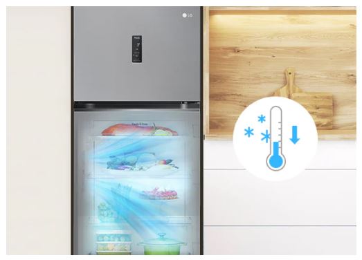 Tủ lạnh LG GN-M312PS 315 lít Inverter