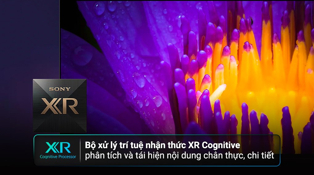Google Tivi OLED Sony 4K 77 inch XR-77A80M ( 77A80M ) 2024 Chính hãng Mới 100%