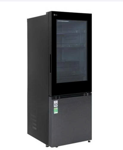 Tủ lạnh LG Inverter LBB33BLMAI