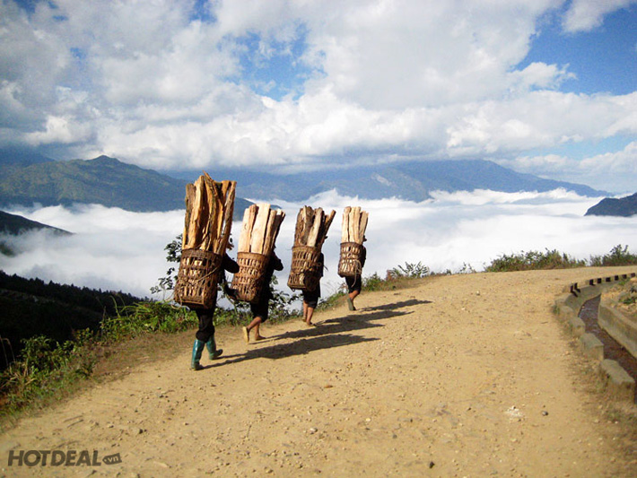 4 DAYS   EXPLORE Y TY  - THE PARADISE OF CLOUD