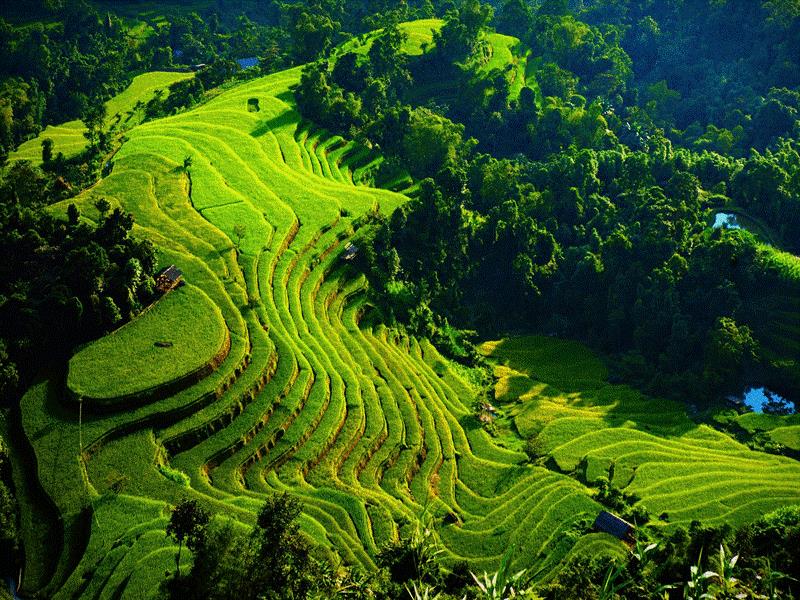 15 DAY NORTH VIETNAM REAL PREMIER ADVENTURE TOURS