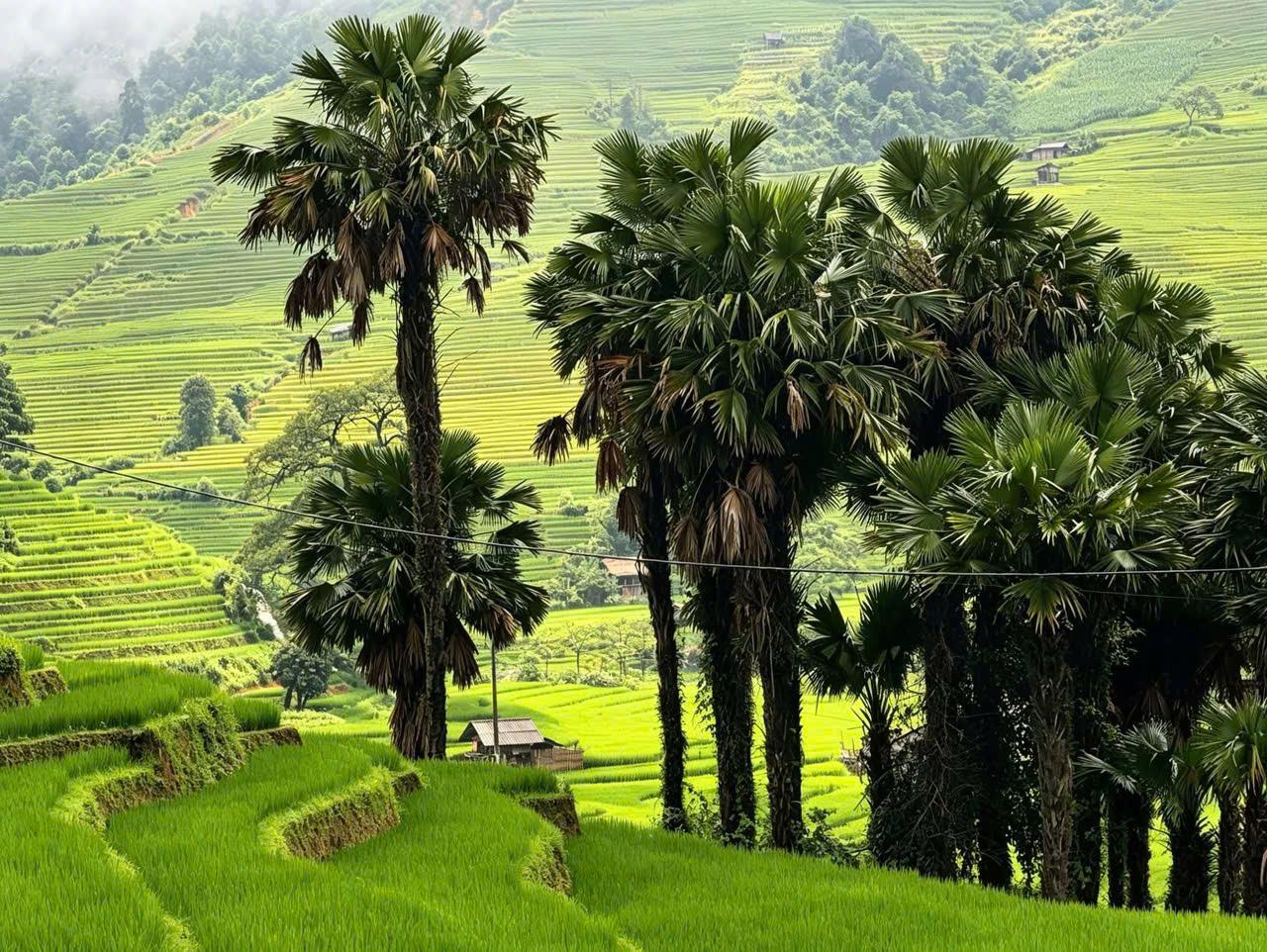 15 DAY FAR NORTH VIETNAM REAL MUITI ADVENTURE TOURS