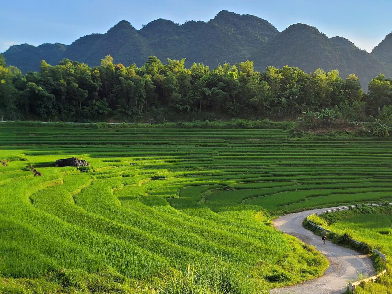 16 DAY NORTH - CENTRAL VIETNAM REAL PREMIER  ADVENTURE HOLIDAY