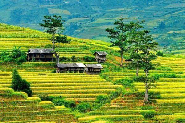 21 DAY ULTIMATE VIETNAM REAL PREMIER MULTI ADVENTURE PACKAGE HOLIDAY