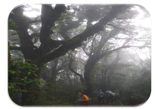 4 DAY HOANG SU PHI – TAY CON LINH PEAK  HIKING CHALLENGE TRIP