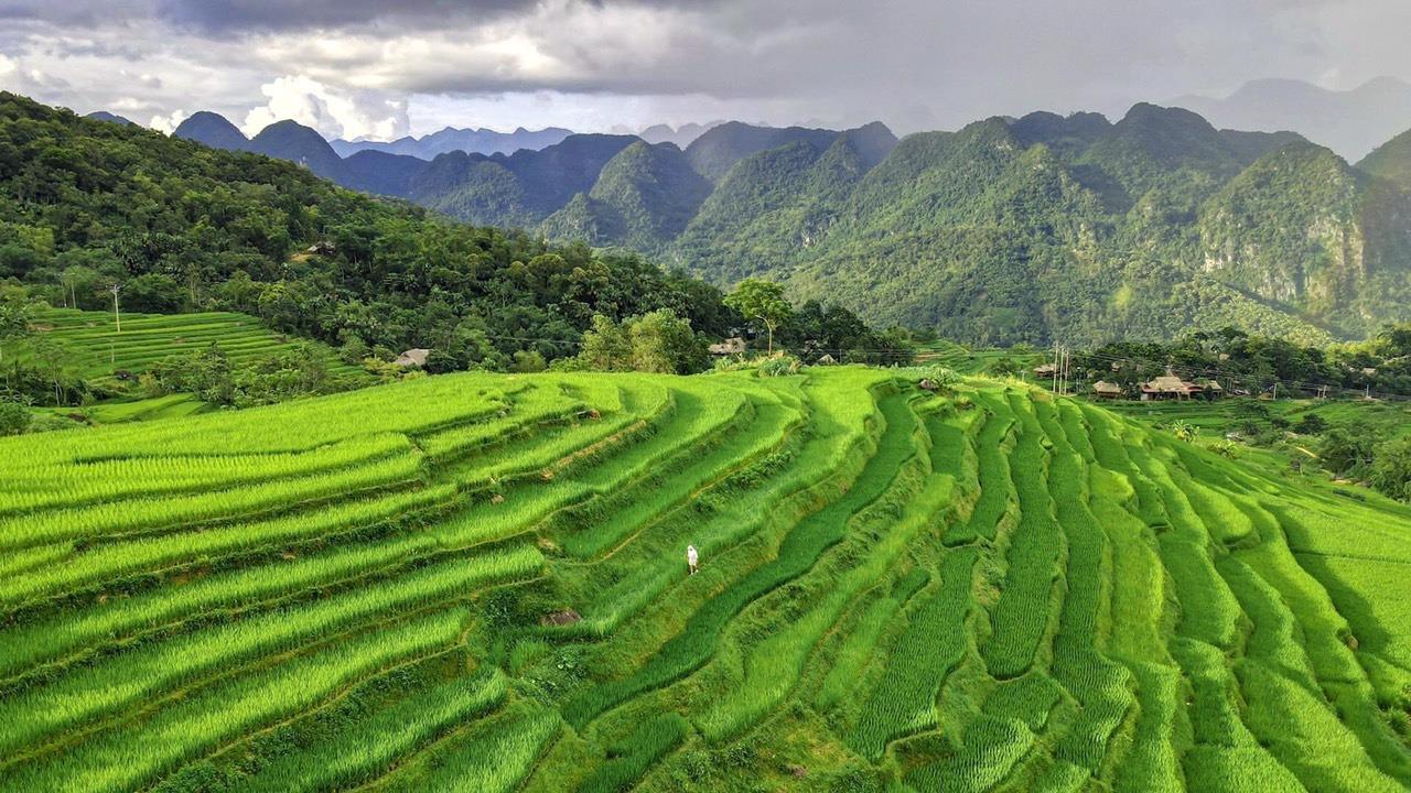 7 DAY PA CO - HANG KIA -MAI CHAU -PULUONG TREKKING TOURS