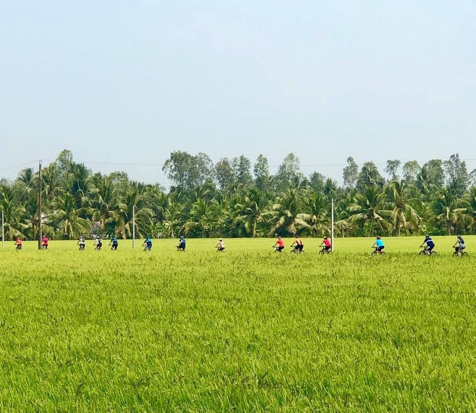 7 DAY MEKONG DELTA CYCLING TOURS