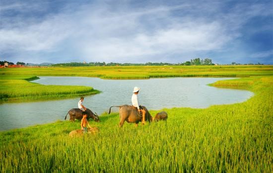 10 DAY FAR NORTH VIETNAM'S GREEN TRAIL TOUR