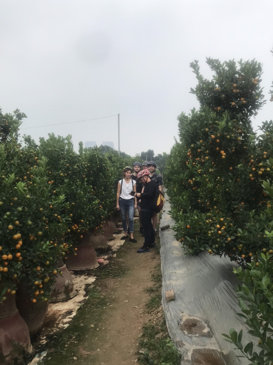 FULLDAY HANOI OFF THE BEATEN PATH CYCLING TOUR