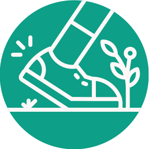 Active Travel & Tours