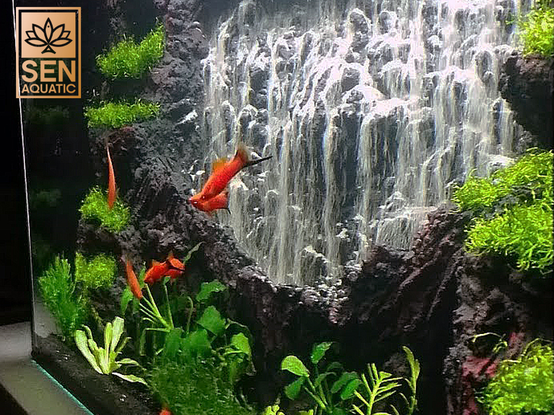 Hướng Dẫn Tạo Hiệu Ứng Thác Đổ Trong Bể Thủy Sinh Đẹp Mắt