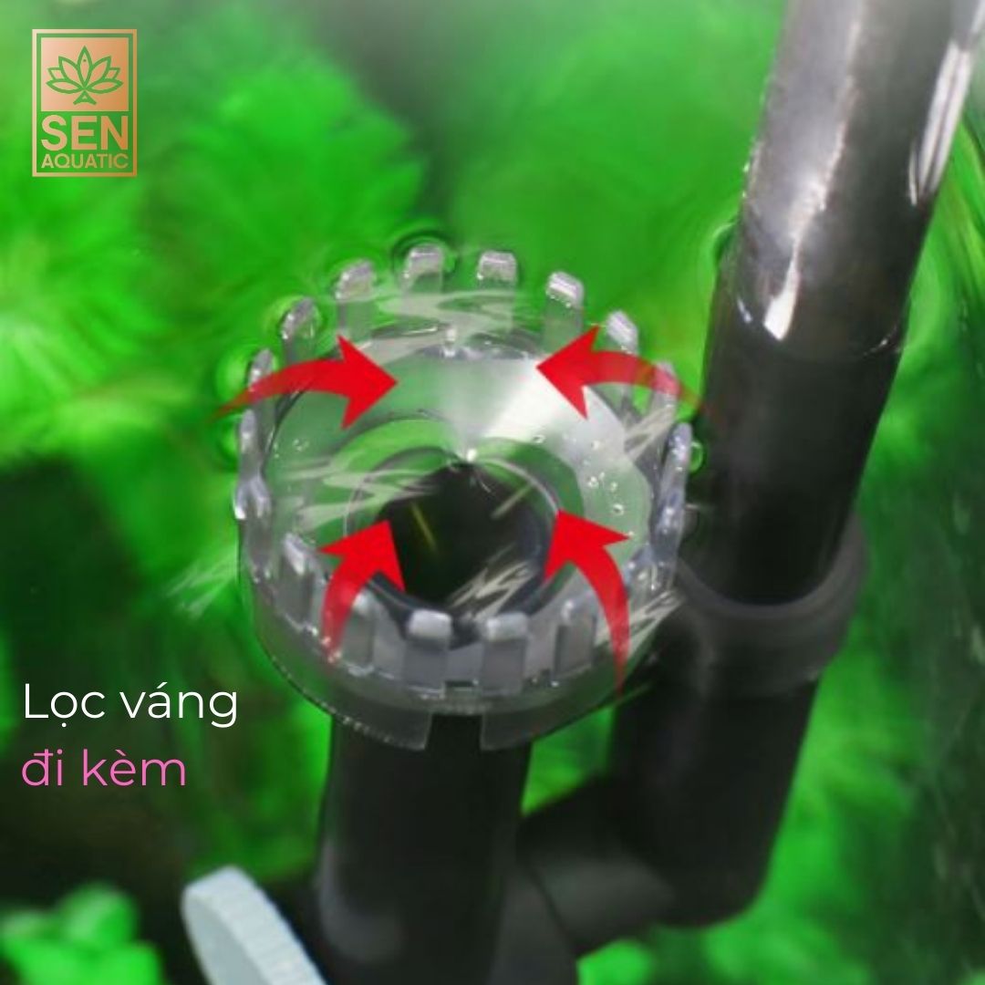 Xiaoli SunSun - Lọc Treo XBL