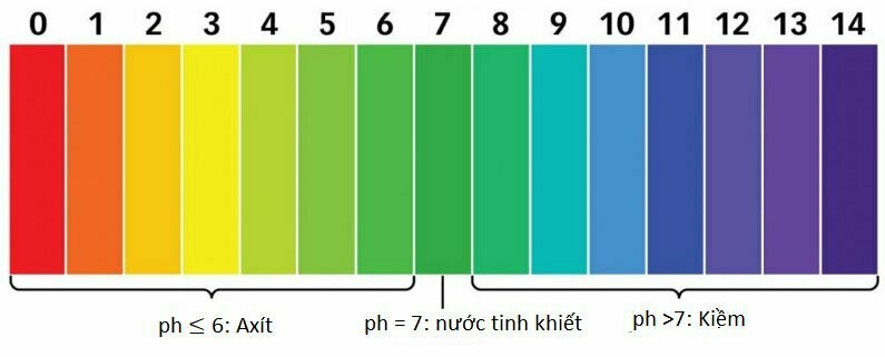 Bí quyết điều chỉnh độ PH hồ thủy sinh hiệu quả và an toàn