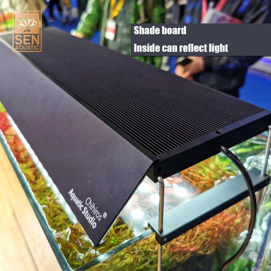 Bộ Shade VIVID2 - BLACK