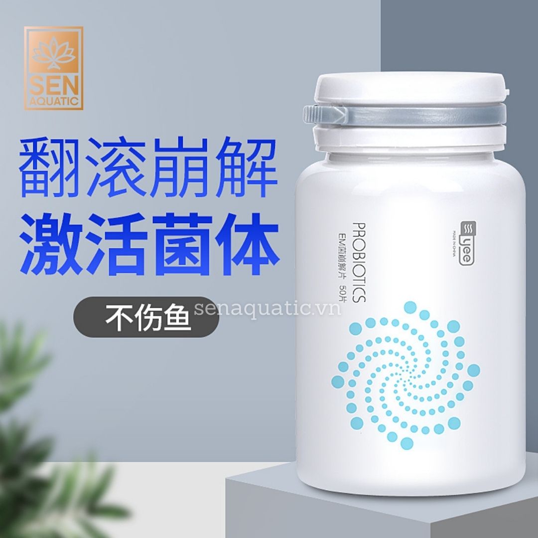 Lợi Khuẩn Yee PROBIOTICS