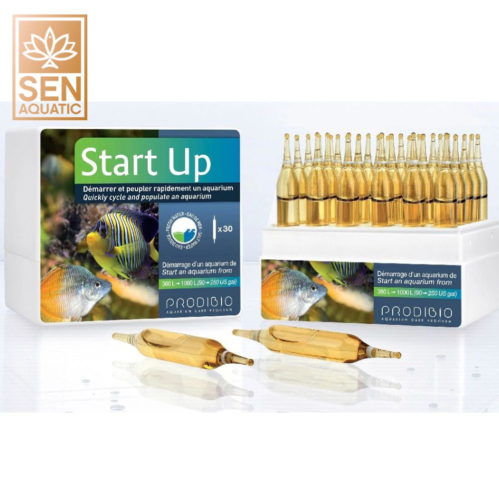 Vi Sinh PRODIBIO Start Up