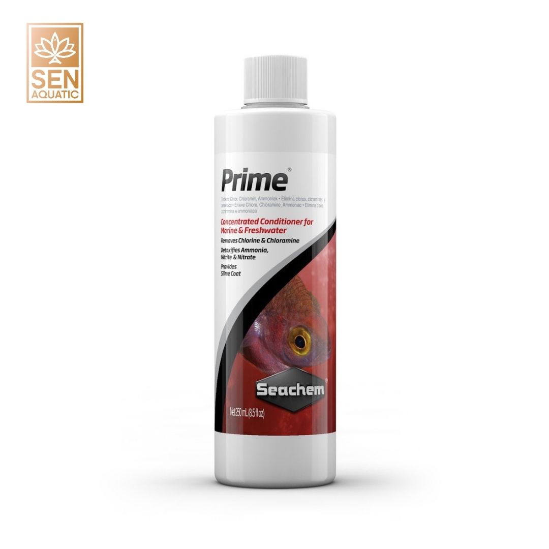 Seachem Khử Độc Nước Prime