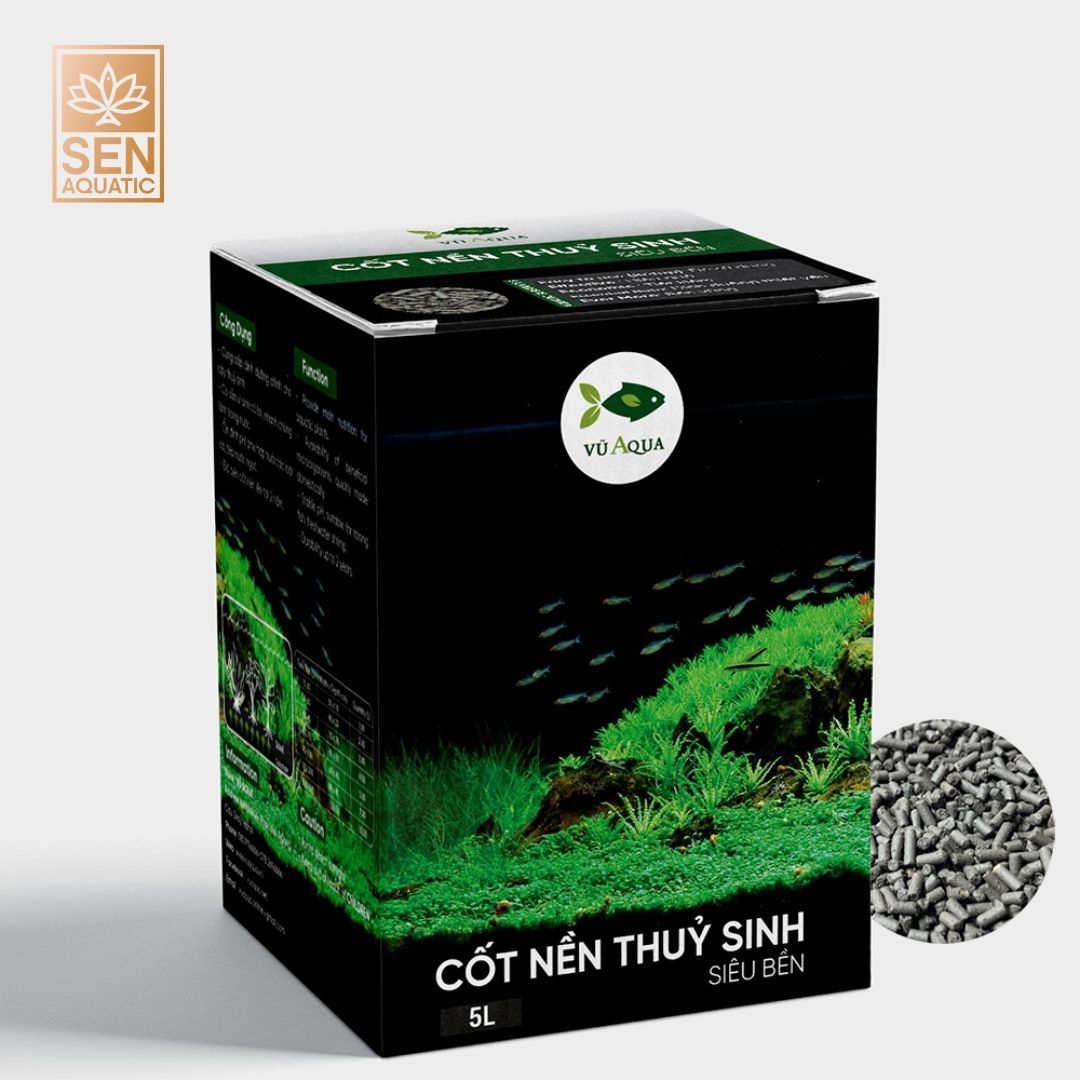 Vũ Aqua Cốt Nền Thuỷ Sinh