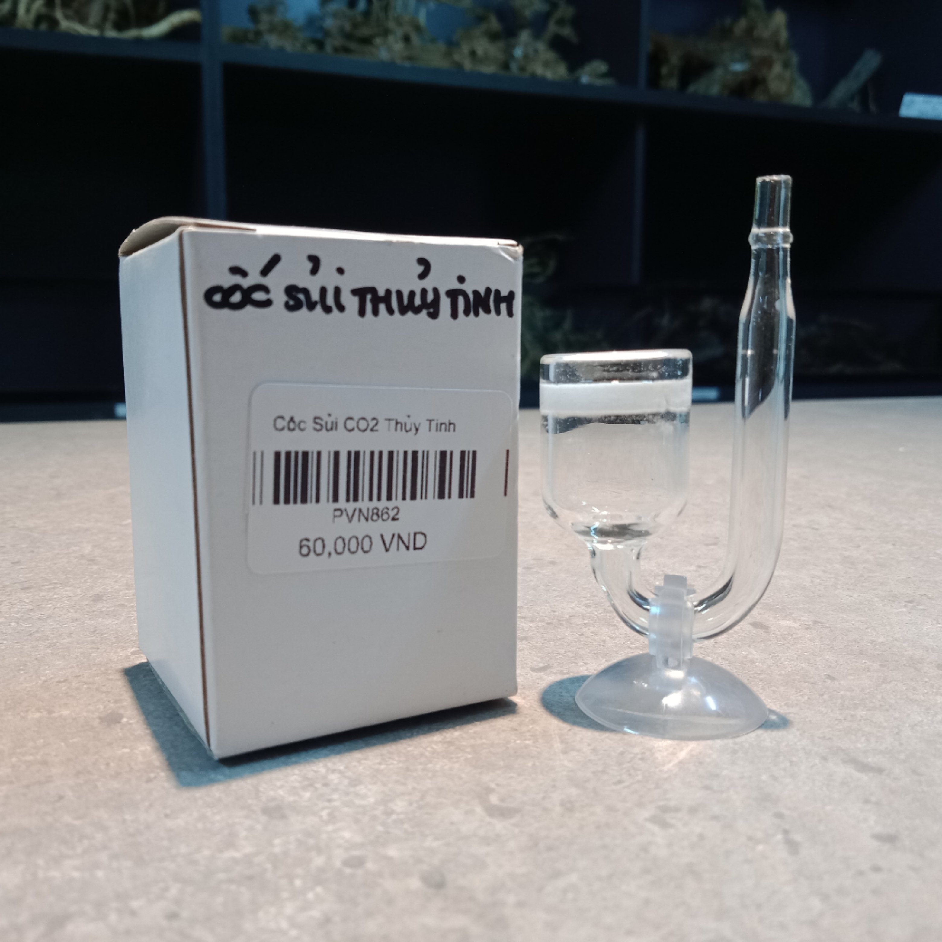 Cốc Sủi Co2 Thủy Tinh