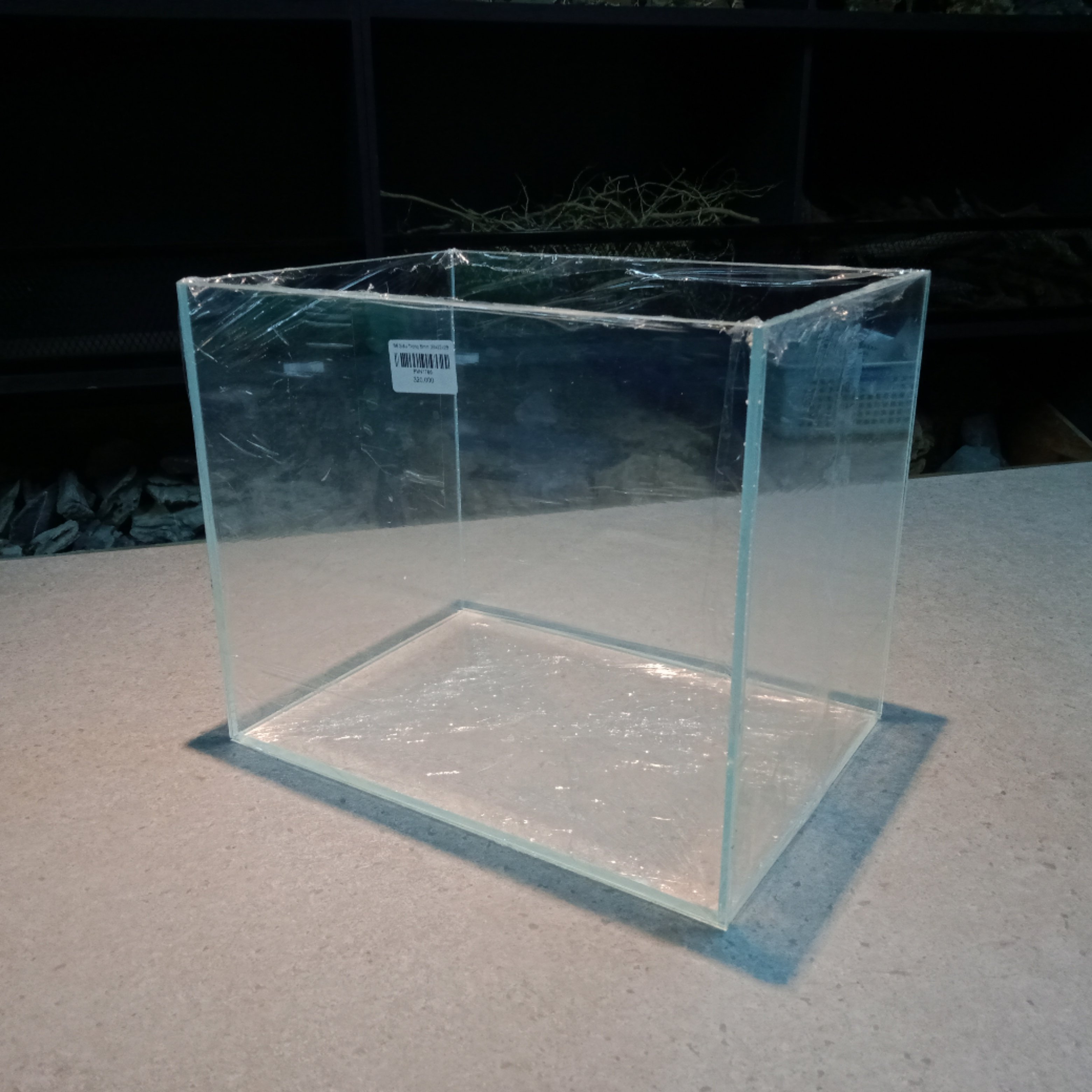 Bể Siêu Trong 5mm