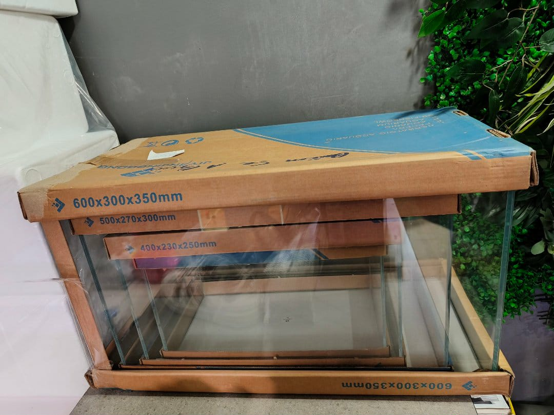 Bể Siêu Trong 5mm