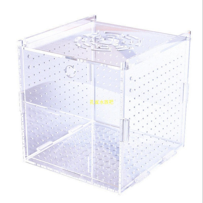 Box Dưỡng Cá Mica (Nhiều Size)