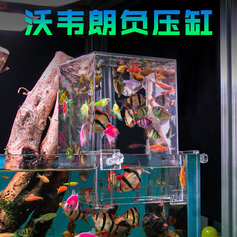 Box Cá Úp Ngược