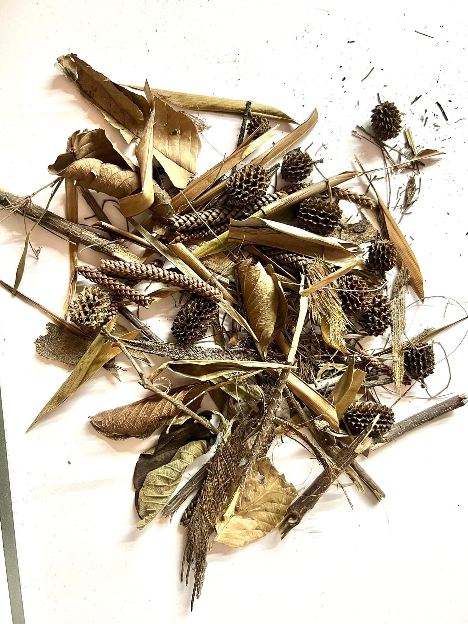 COMBO Trải nền Biotop