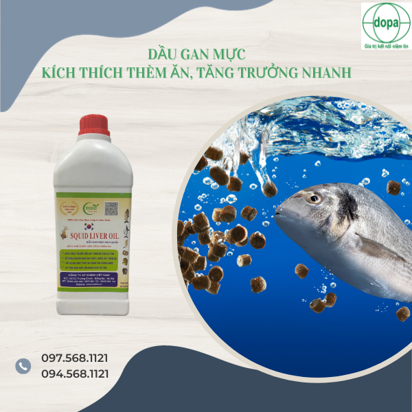 SQUID LIVER OIL - DẦU GAN MỰC HÀN QUỐC: GIẢI PHÁP KÍCH THÍCH TĂNG THÈM ĂN, TĂNG TRƯỞNG NHANH CHO THỦY SẢN